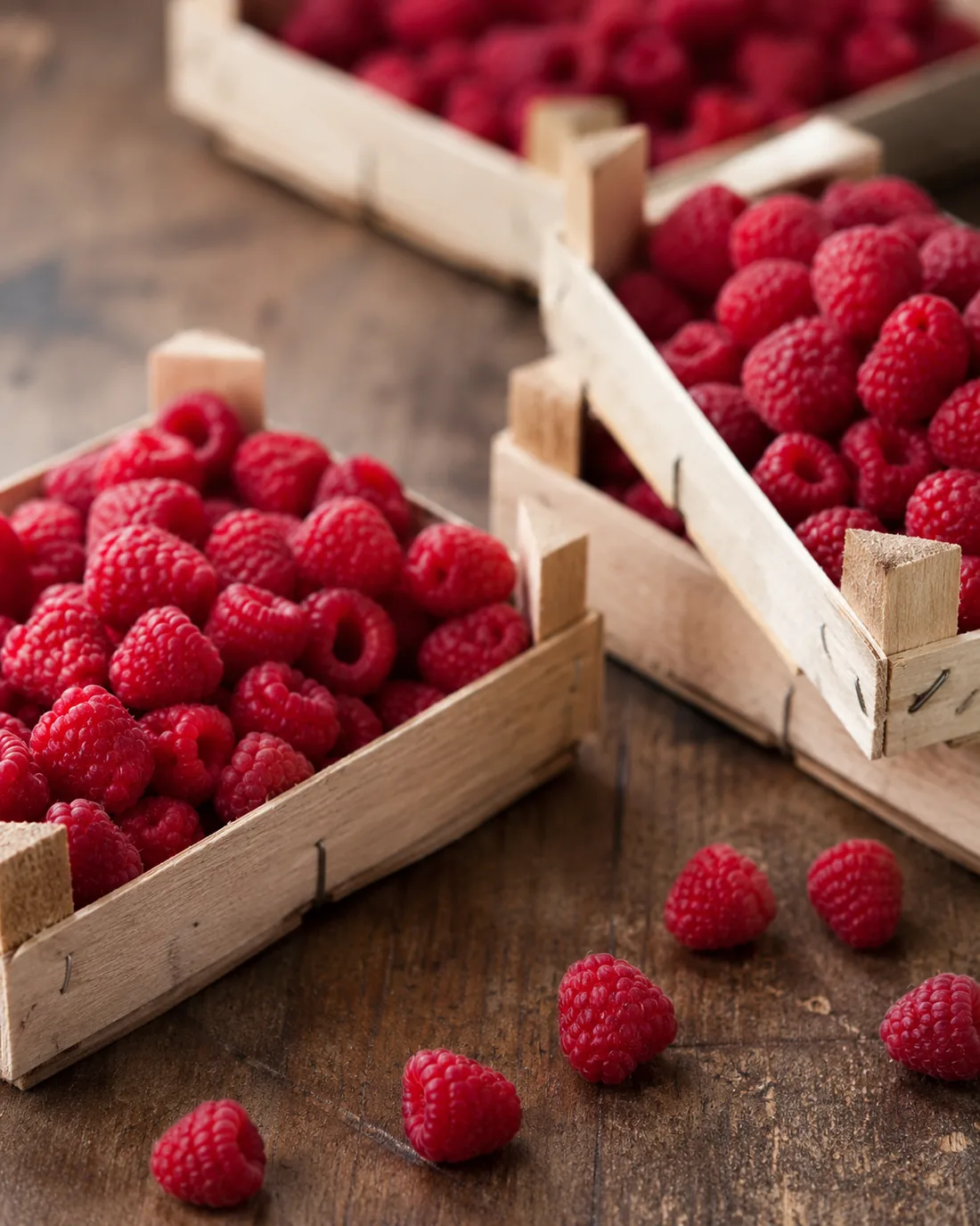 Cagettes de framboises fraîches fraîchement récoltées